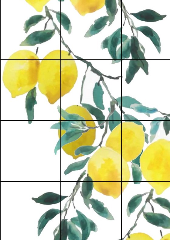 les Citrons de Menton